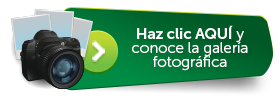 Haz clic AQUÍ y conoce la galería fotográfica