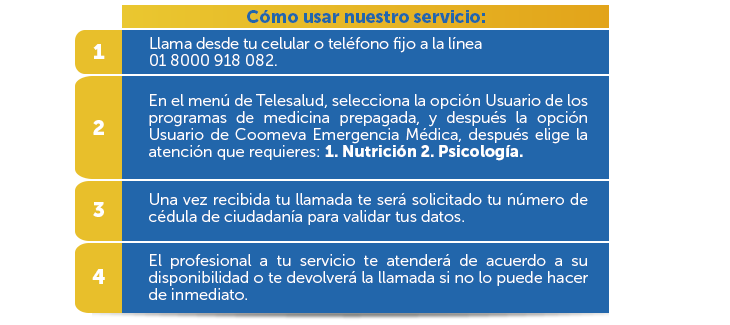 Cmo usar nuestro servicio: