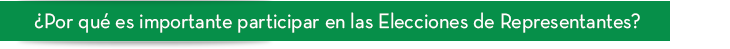 �Por qu� es importante participar en las Elecciones de Representantes?