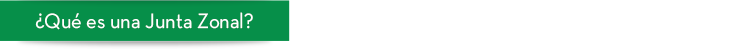 �Qu� es una Junta Zonal?