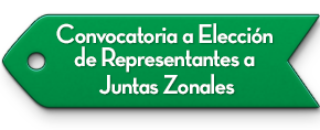 Convocatoria a Elecci�n de Representantes a Juntas Zonales