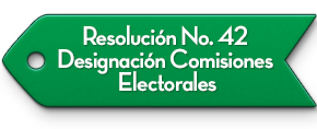 Resoluci�n No. 42 Designaci�n Comisiones Electorales