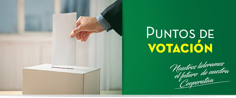 Puntos de votaci�n