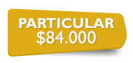 PARTICULAR $84.000