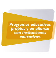 Programas educativos propios y en alianza con Instituciones educativas. 