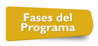 Fases del Programa