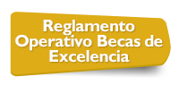 Reglamento Operativo Becas de Excelencia